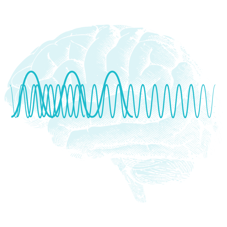 Side view of a brain overlaid with one large and one small smooth waveform