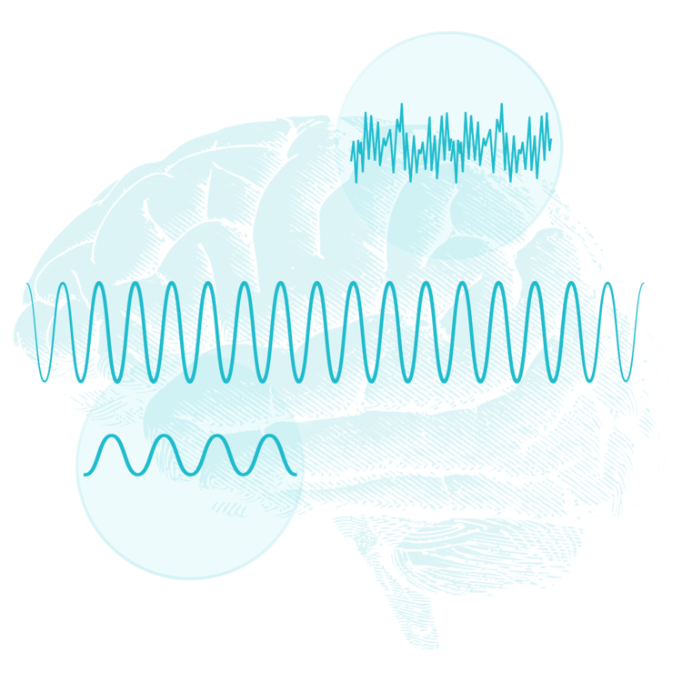 Side view of a brain with electromagnetic waveforms passing through top, middle, and bottom