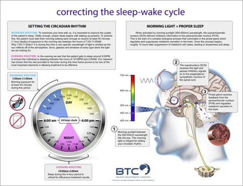 Research illustration of the sleep cycle